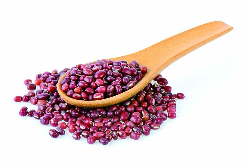 Đậu Azuki Đậu Azuki